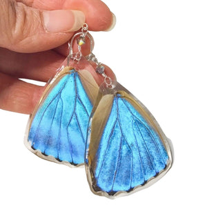 Lady Grey Beads Earrings Flight of Fancy Blue Statement Butterfly Wings Earrings, II